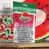 O4V - AROMA SORBET 8ML