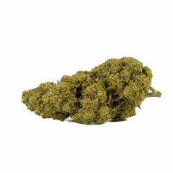 BANANA SMASH - ONLYCBD - 1 GR