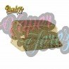 BLONDY 77 HASH - 5GR - ONLYCBD