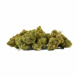 BANANA SMASH - ONLYCBD - 5 GR