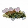 BANANA SMASH - ONLYCBD - 5 GR
