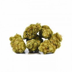 CHERRY BOMB CALI - ONLYCBD -5 GR