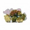 CHERRY BOMB CALI - ONLYCBD -5 GR