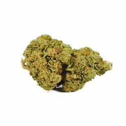 CHERRY BOMB CALI - ONLYCBD -5 GR