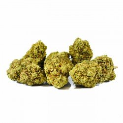 KRIPPY KUSH - ONLYCBD - 5 GR