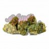KRIPPY KUSH - ONLYCBD - 5 GR