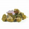 MANGO HAZE - ONLY CBD - 5 GR