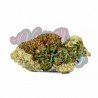 KRIPPY KUSH - ONLYCBD - 1 GR