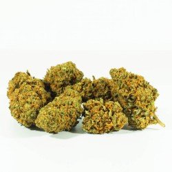 BLUE CHEESE - ONLYCBD - 5GR