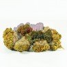 BLUE CHEESE - ONLYCBD - 5GR