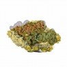MANGO HAZE - ONLY CBD - 1 GR