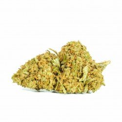 BLUE CHEESE - ONLYCBD - 1GR