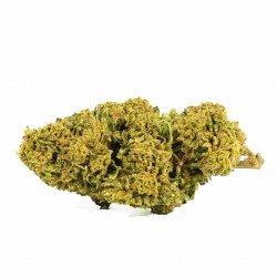 GELATO 33 - ONLYCBD - 1 GR