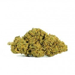 AMNESIA OG - ONLYCBD - 1 GR