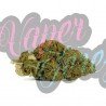 AMNESIA OG - ONLYCBD - 1 GR