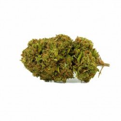 BERRY CREAM - ONLYCBD - 5 GR