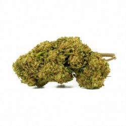 BERRY CREAM - ONLYCBD - 1 GR