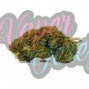 BERRY CREAM - ONLYCBD - 1 GR