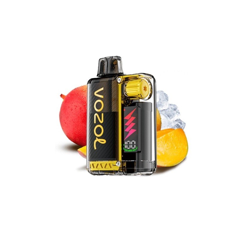 Vozol Vista Plug 2+10 Kit Mango Ice