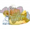 Vaper Desechable Oxbar Mini Sour Pineapple Ice 2%
