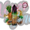 Just Juice Exotic Fruits Pineapple Papaya Coconut Longfill 12ml
