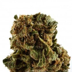 Golden Nuggets - 50gr - ONLY CBD