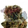 Golden Nuggets - 50gr - ONLY CBD