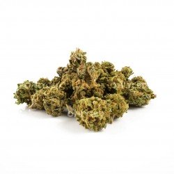 Golden Nuggets - 50gr - ONLY CBD