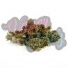 Golden Nuggets - 50gr - ONLY CBD
