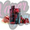 Vozol Vista Plug 2+10 Kit Strawberry Watermelon