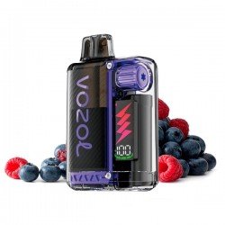 Vozol Vista Plug 2+10 Kit...