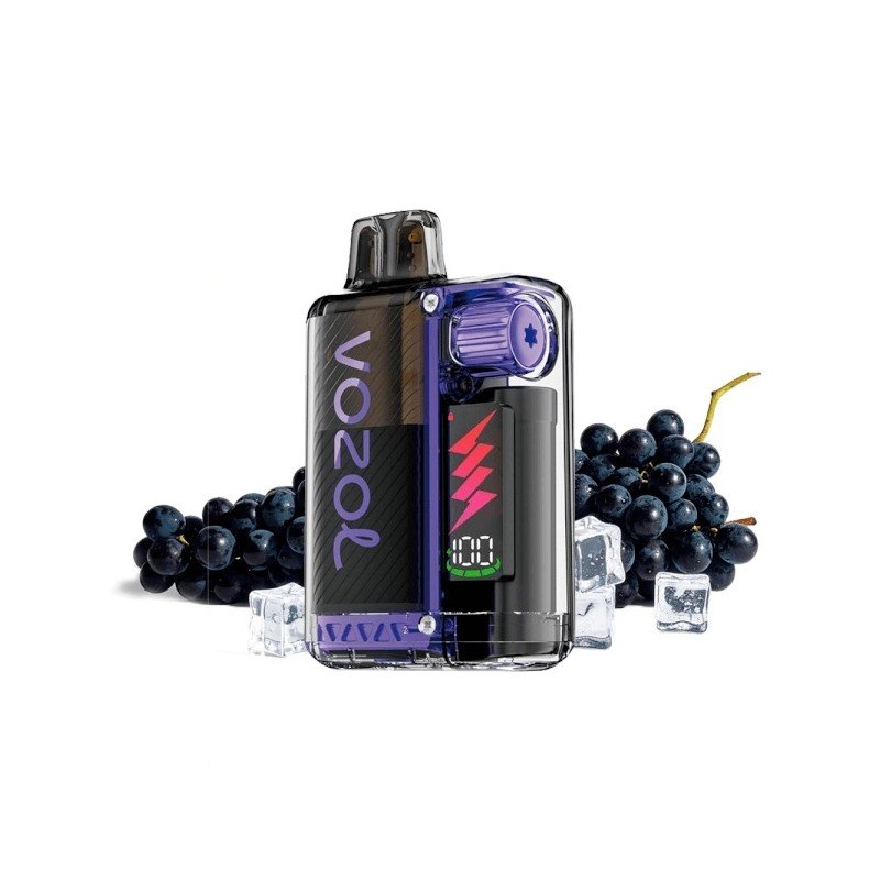 Vozol Vista Plug 2+10 Kit Grape Ice