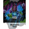 Blueberry Mint 15mg - Oxbar E-liquid