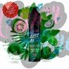Just Juice Exotic Fruits Guanábana Lime Ice 12ml