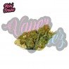 MINI BRAINS - 10GR