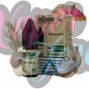 Mübar Salts Cocoloco 10ml