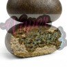 JELLY STATIC CBD - 2GR - ONLYCBD