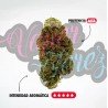 BANANA SMASH - ONLYCBD - 1 GR