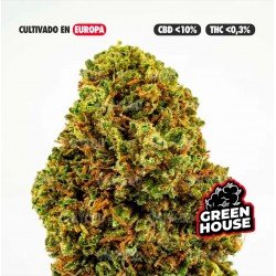 BANANA SMASH - ONLYCBD - 5 GR