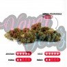 BERRY CREAM - ONLYCBD - 1 GR