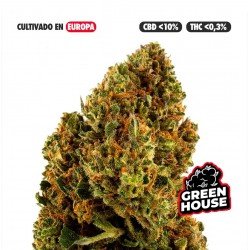 BERRY CREAM - ONLYCBD - 1 GR