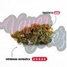 BERRY CREAM - ONLYCBD - 1 GR