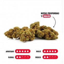 BERRY CREAM - ONLYCBD - 5 GR