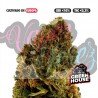 BERRY CREAM - ONLYCBD - 5 GR