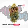 AMNESIA OG - ONLYCBD - 1 GR