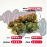 GELATO 33 - ONLYCBD - 1 GR