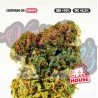 GELATO 33 - ONLYCBD - 5 GR