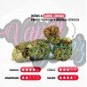 BLUE CHEESE - ONLYCBD - 1GR