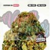 BLUE CHEESE - ONLYCBD - 1GR