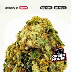 BLUE CHEESE - ONLYCBD - 5GR
